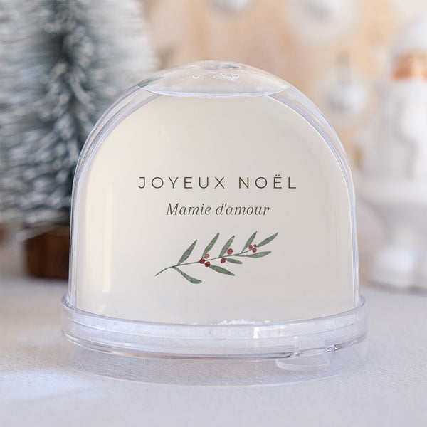Boule à neige Fin d'année Verre Encadrement végétal photo