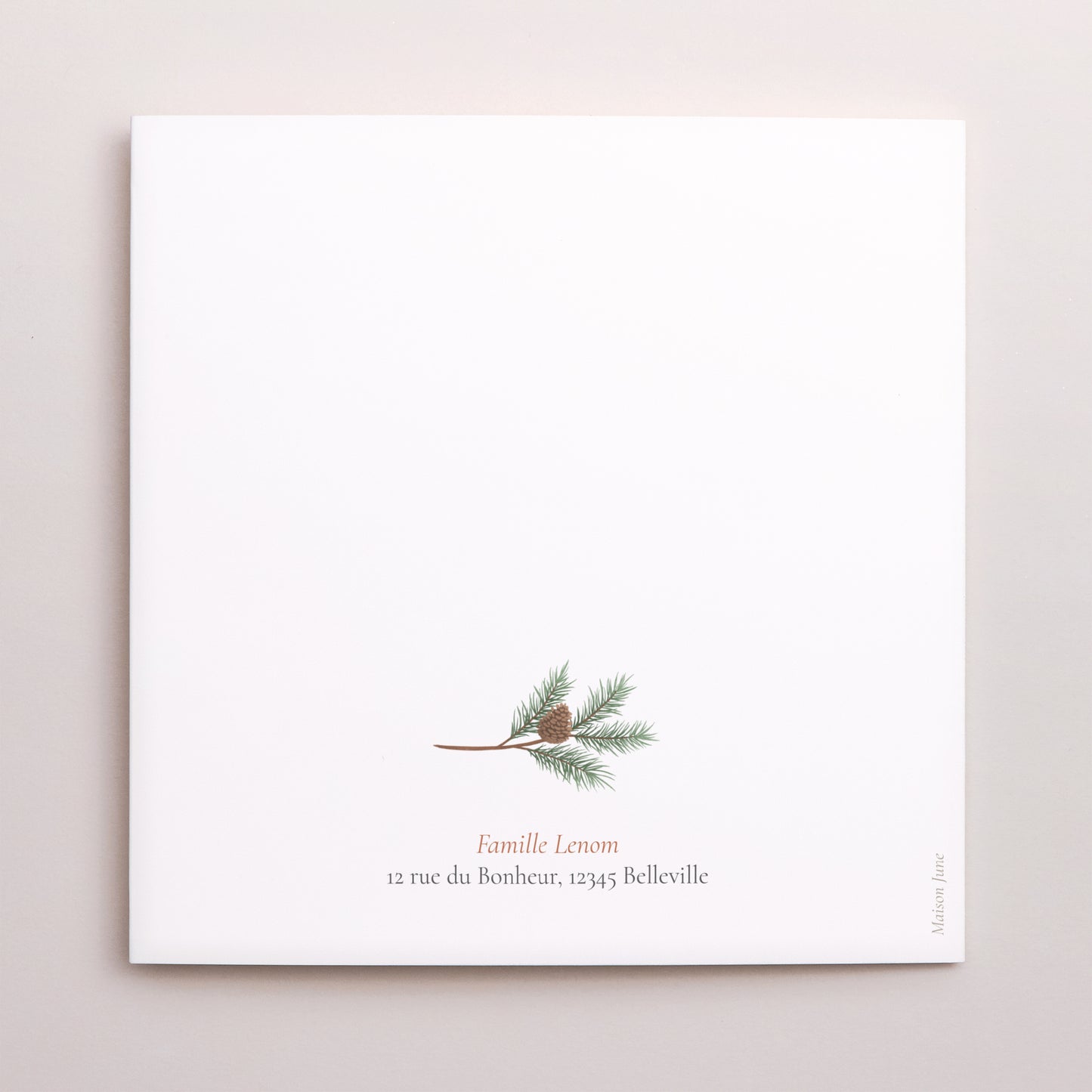 Carte de Noel Fin d'année Carré double volet Branches de sapin de Noël photo N° 3