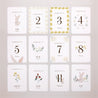 Carte étape bébé Naissance Lot de 12 Lapin fruité photo N° 3