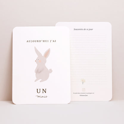 Carte étape bébé Naissance Lot de 12 Lapin fruité photo N° 4