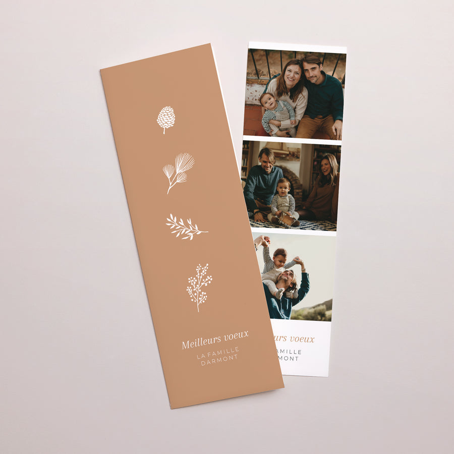 Carte de voeux Fin d'année Marque-page photo Brins d'Hiver photo