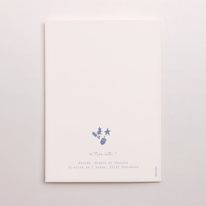 Carte de Noel Fin d'année Portrait double volet composition circulaire noël bleu photo N° 3