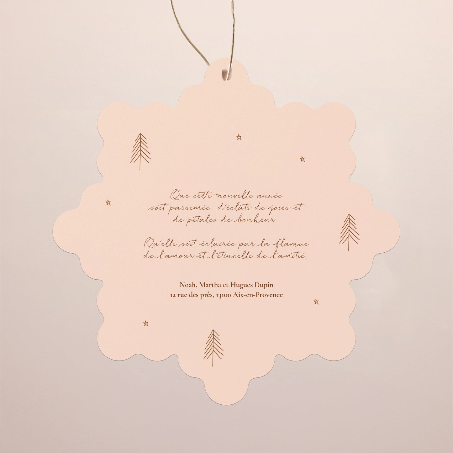 Carte de Noel Fin d'année Flocon à suspendre Maisonnettes d'hiver photo N° 2