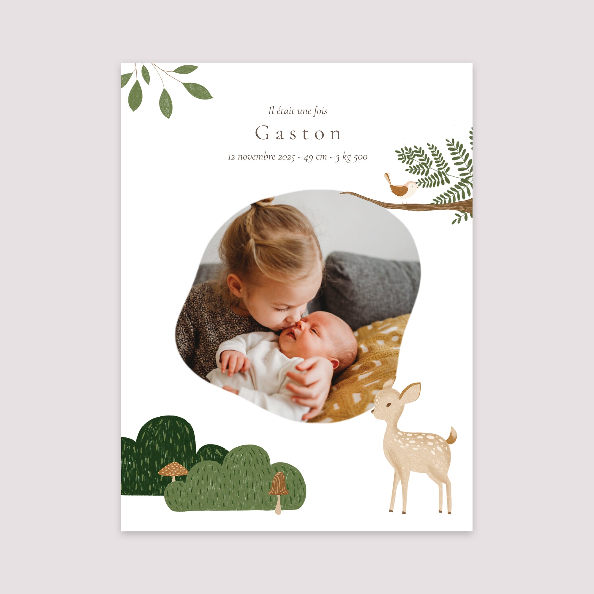 Affiche Naissance Portrait 30 x 40 cm Il était une fois les animaux de la forêt photo N° 2