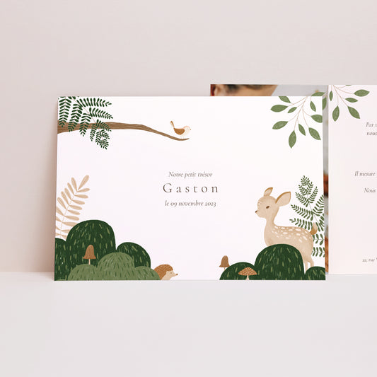 Faire-part Naissance Paysage Il était une fois les animaux de la forêt photo