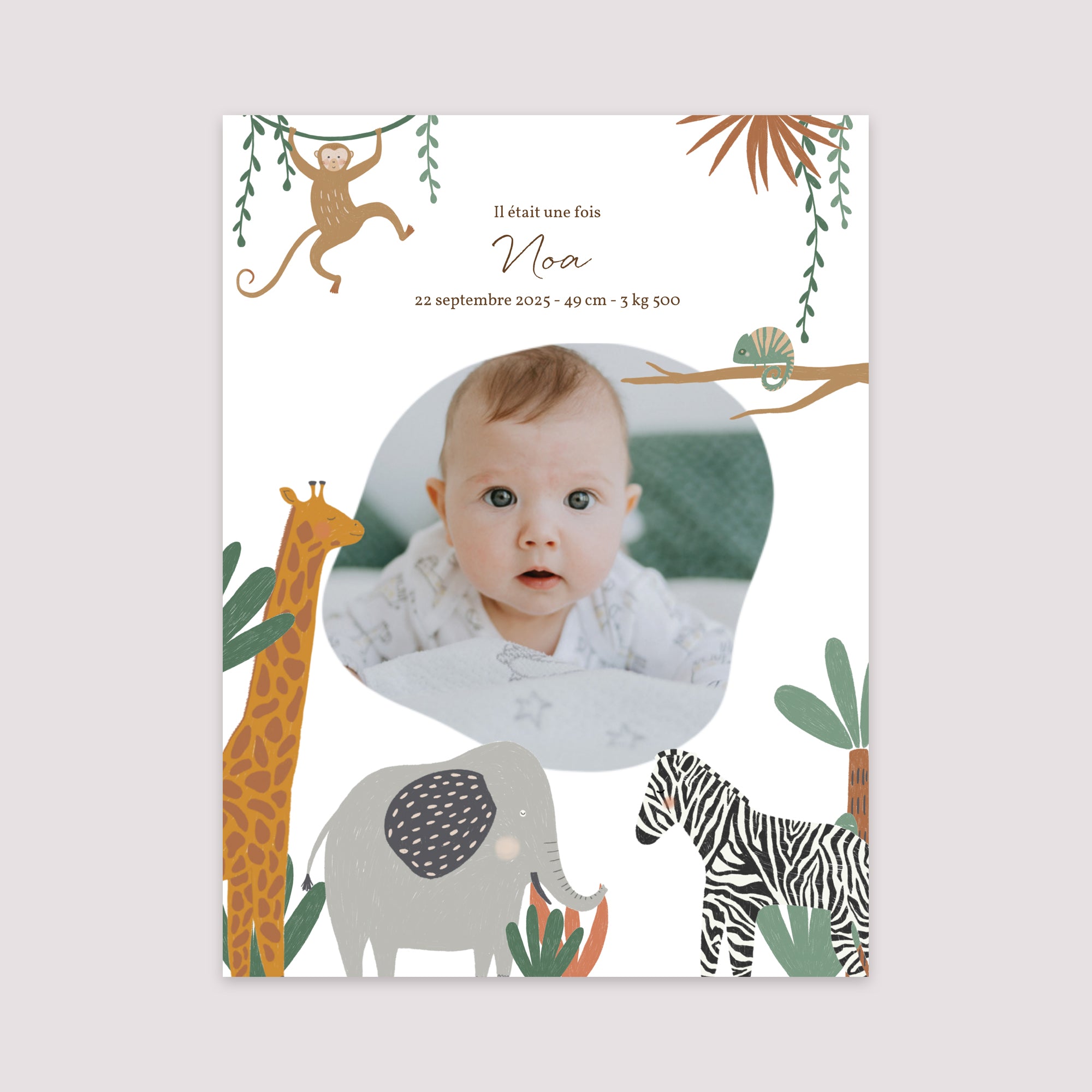 Affiche Naissance Portrait 30 x 40 cm Les Animaux d'Afrique II photo N° 2