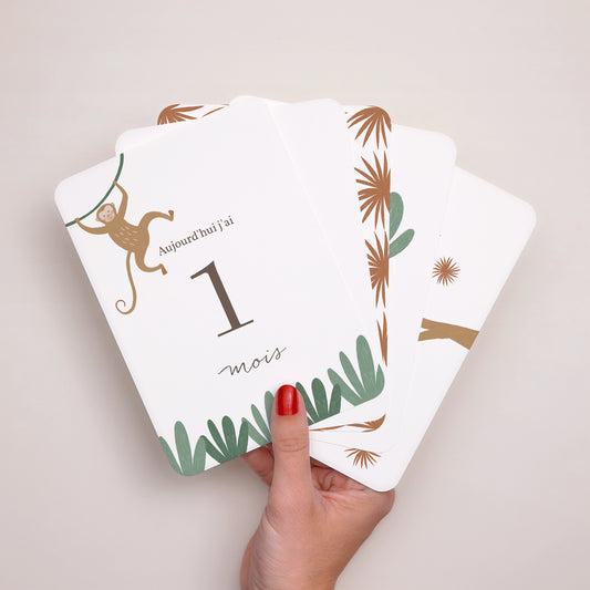 Carte étape bébé Naissance Lot de 12 Les Animaux d'Afrique II photo