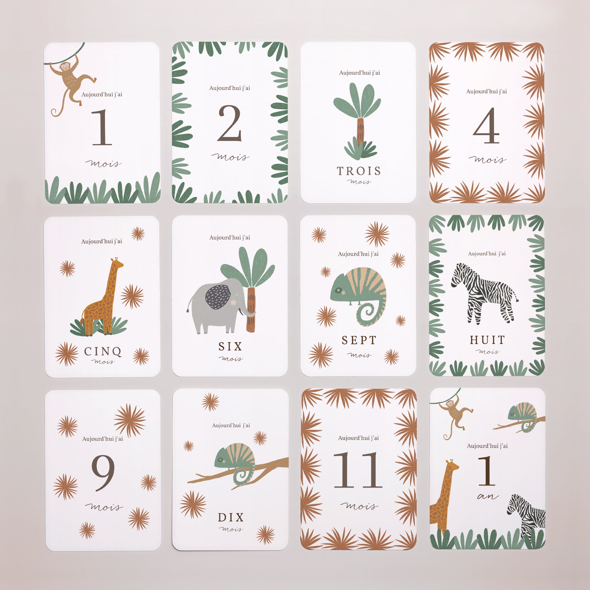 Carte étape bébé Naissance Lot de 12 Les Animaux d'Afrique II photo N° 3