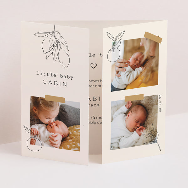 Faire-part Naissance Triptyque ouverture fenêtre Bullet journal Herbier photo