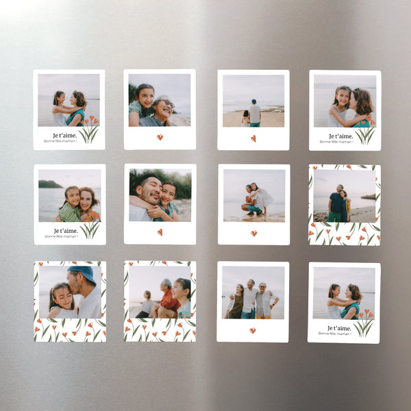 Magnet Objets Lot de 12, magnétique Tulipes photo