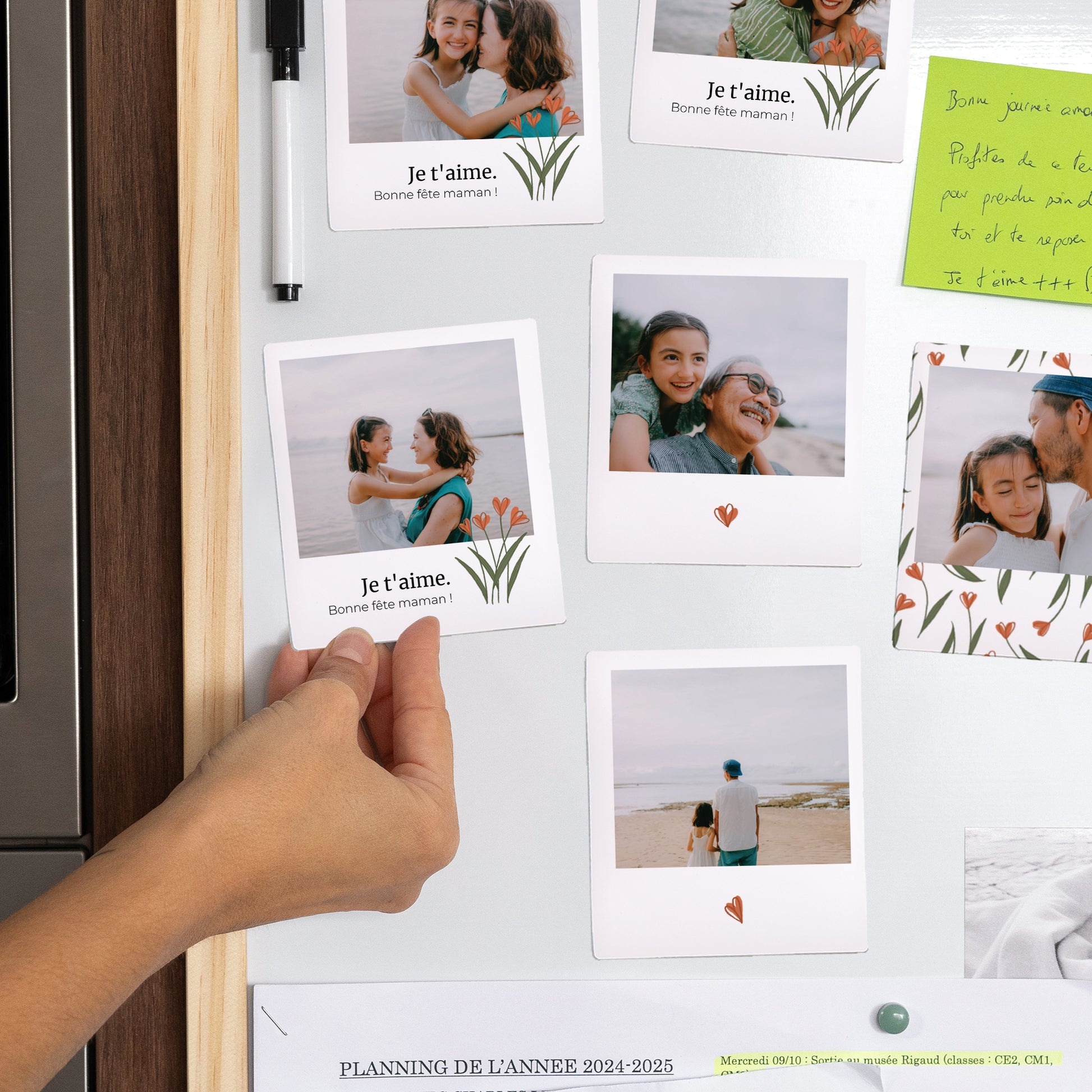 Magnet Objets Lot de 12, magnétique Tulipes photo N° 2