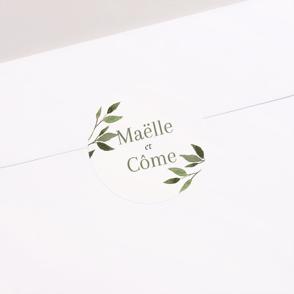 Pièce à Main Détachable à Ultrasons Piezodentaire - Compatible EMS/Woodpecker, Livrée Avec 5 Embouts