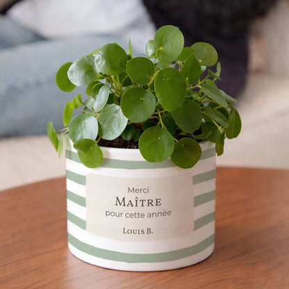 Pot de fleurs 48 cl Rayures d’écolier, Vert photo N° 2