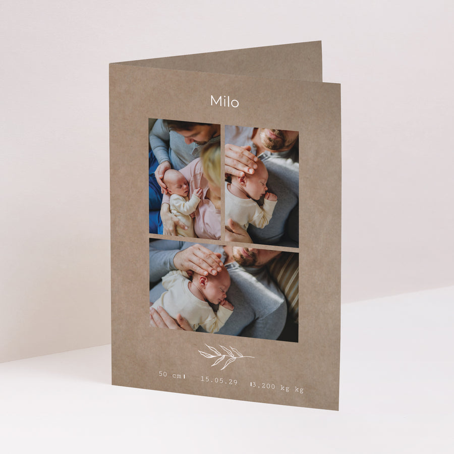 Faire-part Naissance Portrait double volet brin et kraft photo