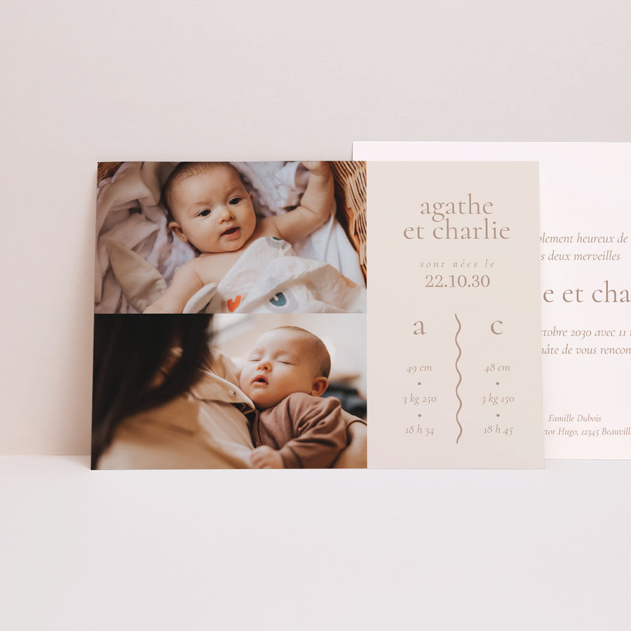 Faire-part Naissance Paysage Jumelles Couleur Rose photo