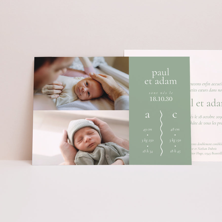 Faire-part Naissance Paysage Jumeaux Couleur Vert photo