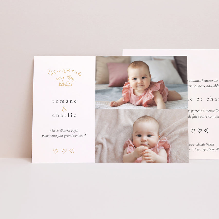 Faire-part Naissance Paysage Deux petits lapins photo