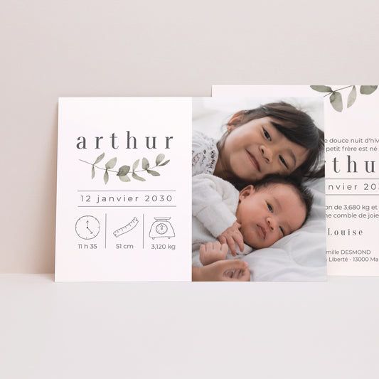 Faire-part Naissance Paysage Tendre Eucalyptus photo