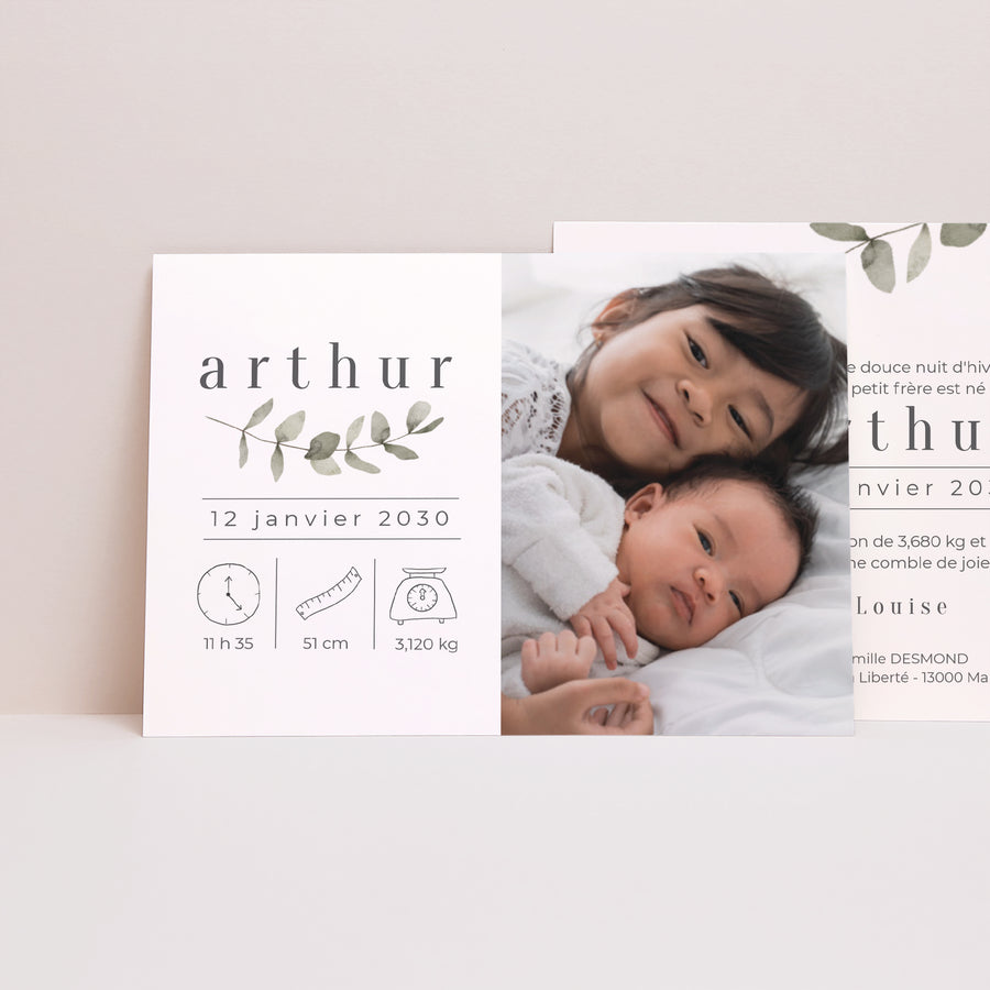 Faire-part Naissance Paysage Tendre Eucalyptus photo