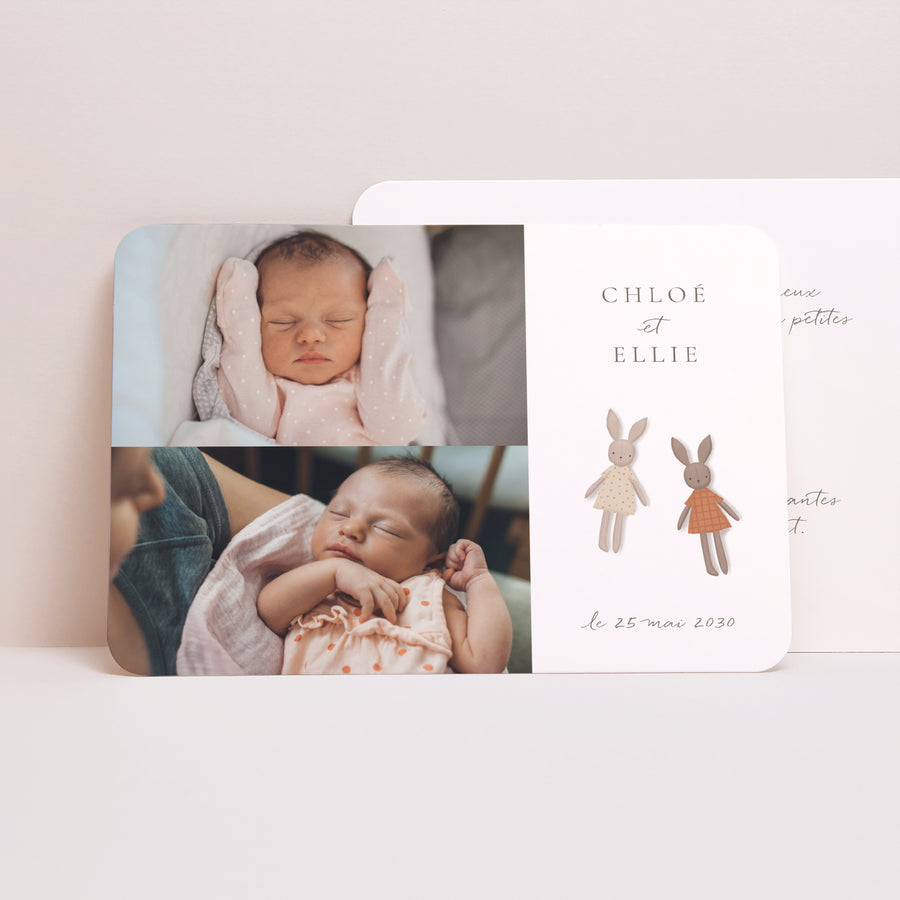 Faire-part Naissance Paysage, bords arrondis Lapin Duo photo