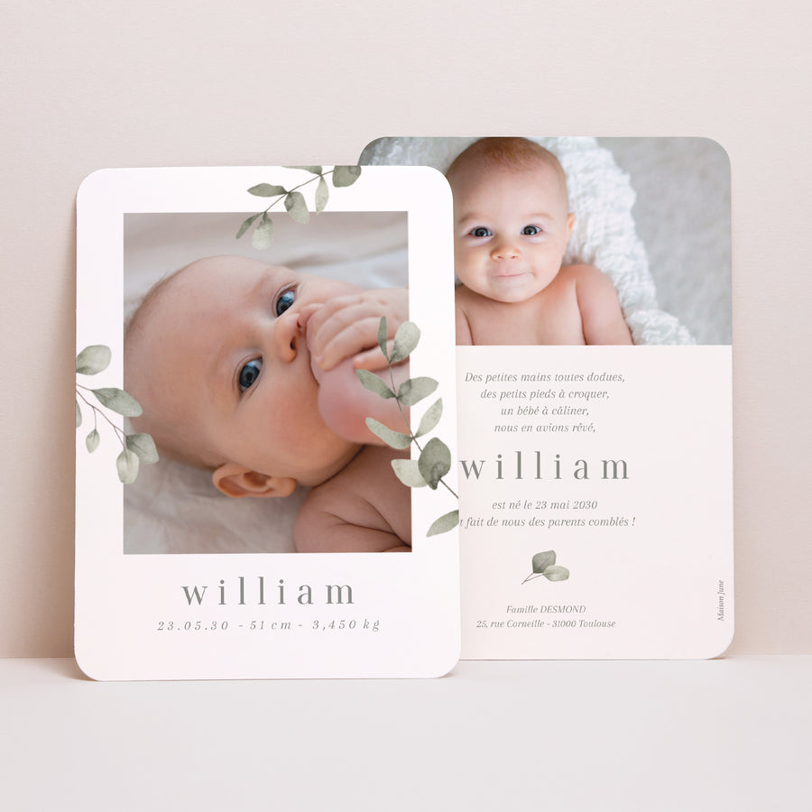 Faire-part Naissance Portrait, bords arrondis Feuillage eucalyptus photo