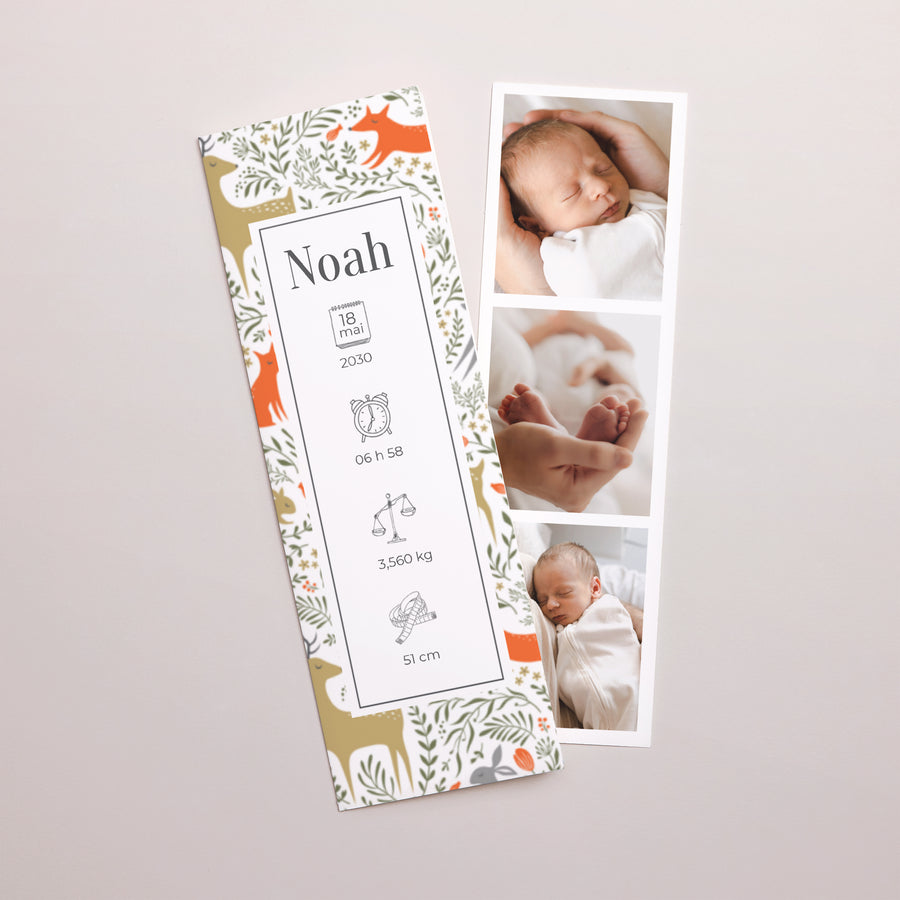 Faire-part Naissance Marque-page photo Promenons-nous dans les bois II photo