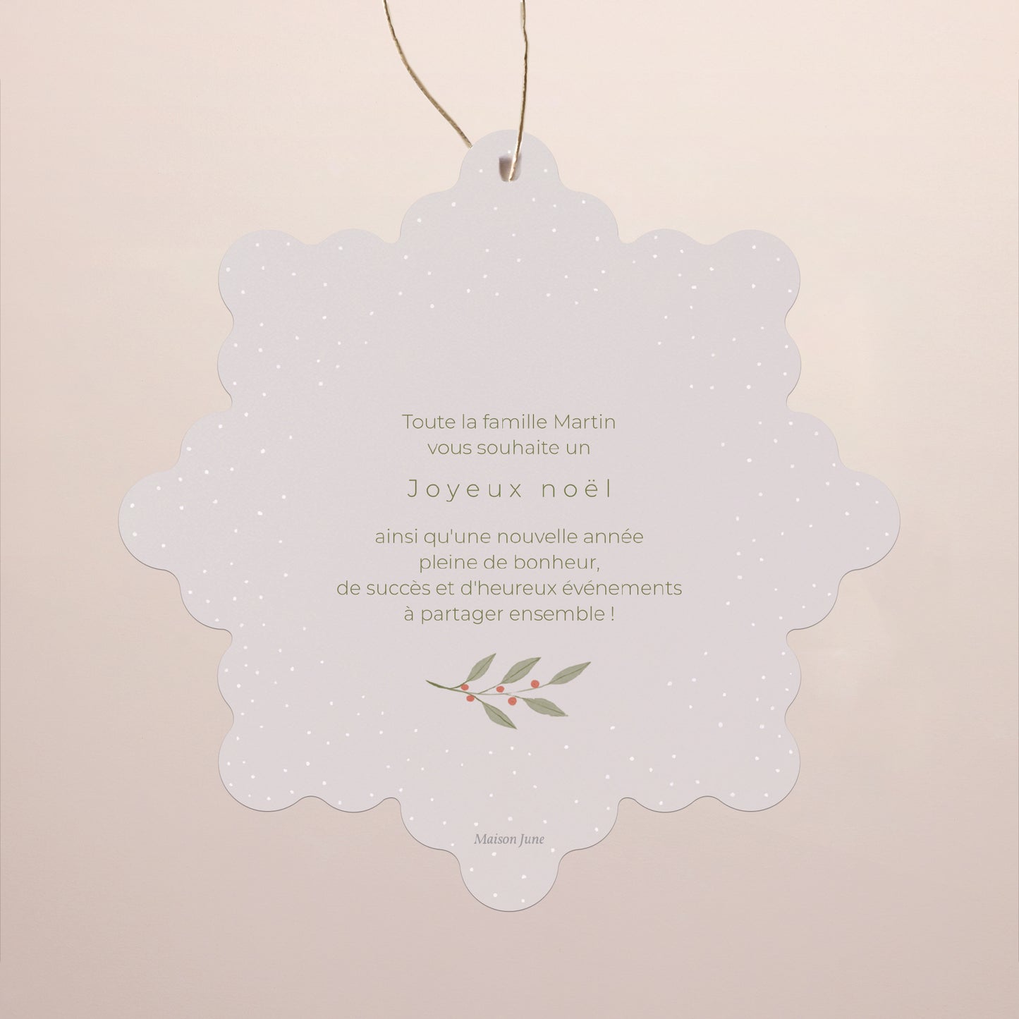 Carte de Noel Fin d'année Flocon à suspendre brins et flocon photo N° 2