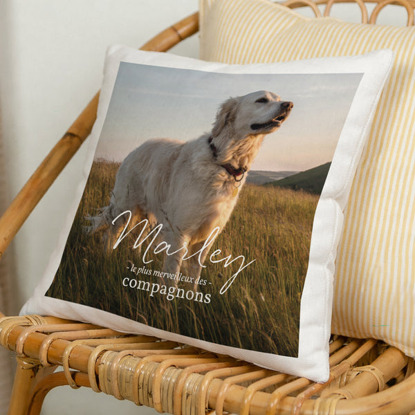 Coussin Objets Beige naturel Pet love photo