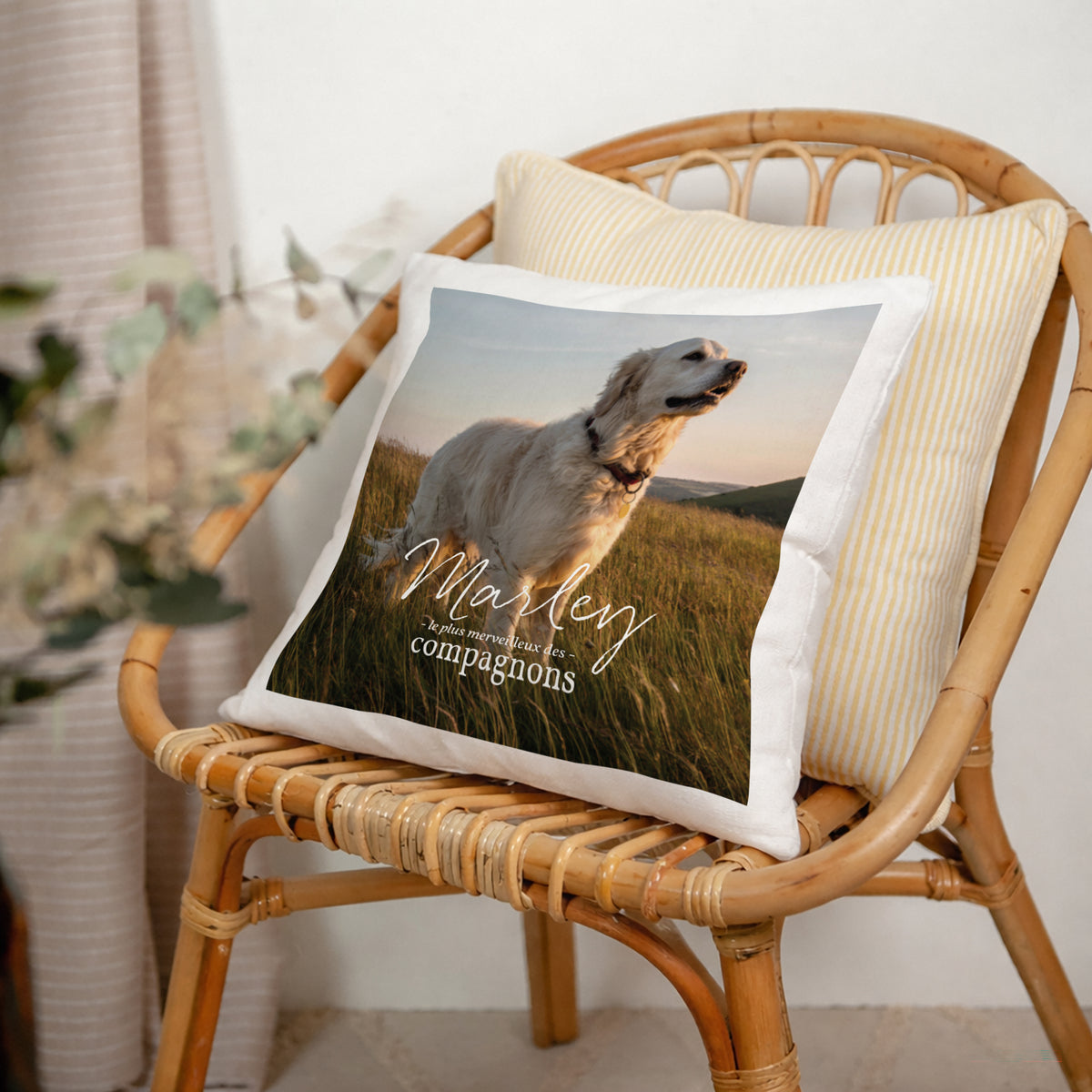 Coussin Objets Beige naturel Pet love photo N° 2
