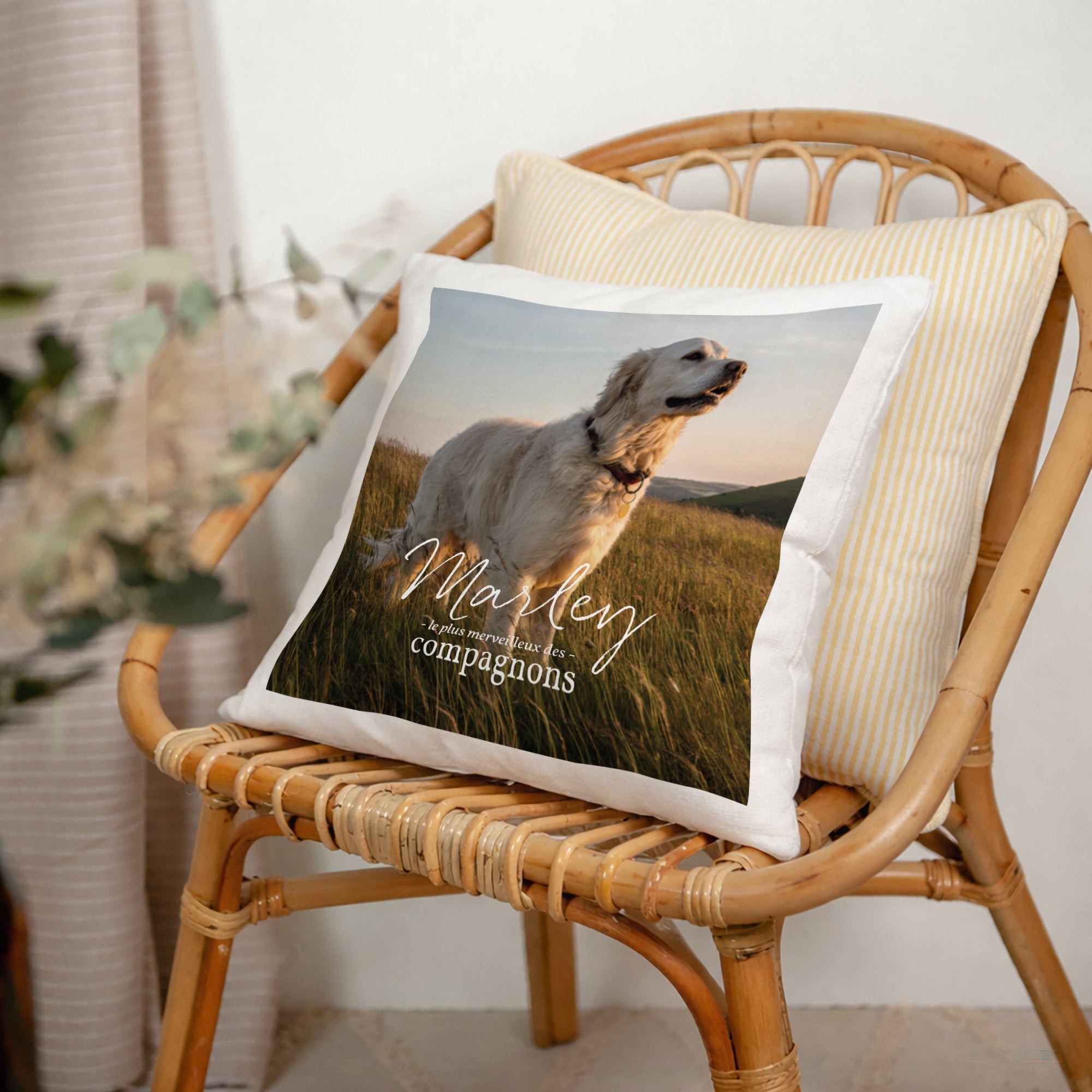 Coussin Objets Beige naturel Pet love photo N° 2