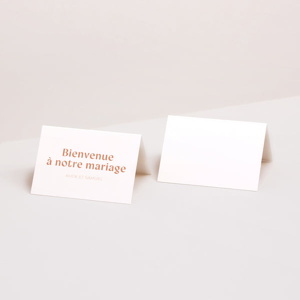 Marque-place Mariage 2 volets Typo Terracotta photo