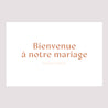 Panneau bienvenue Mariage Paysage 90 x 60 cm Typo Terracotta photo N° 2