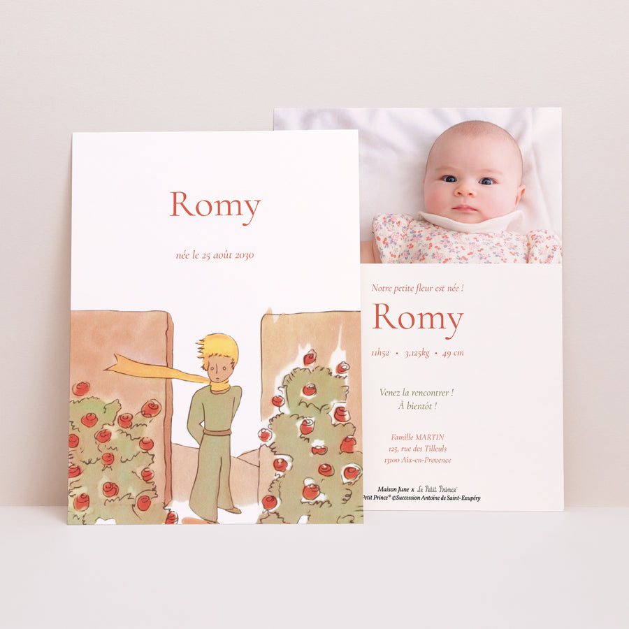 Faire-part Naissance Portrait Rosiers photo