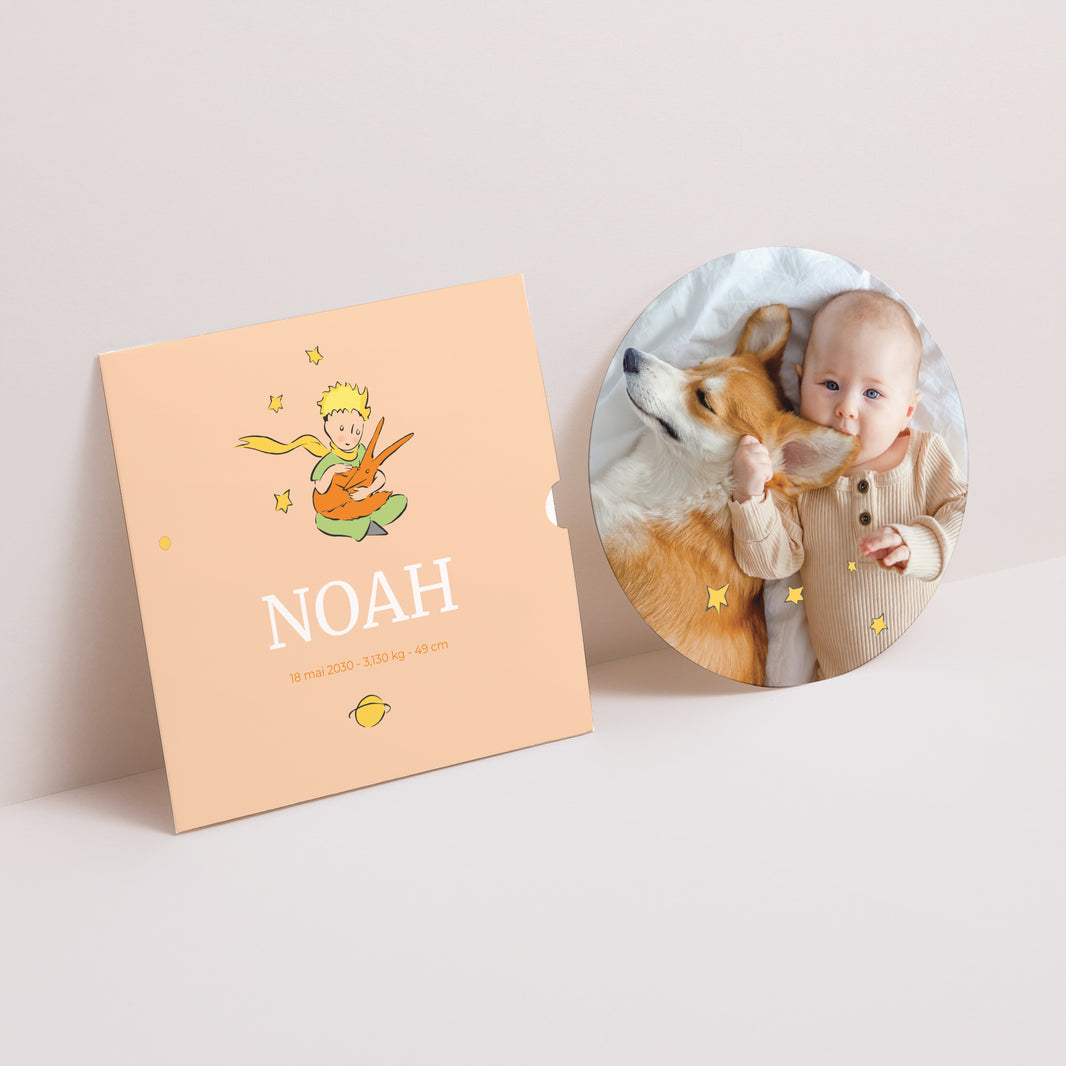 Faire-part Naissance Pochette disque Notre petit renard photo N° 1