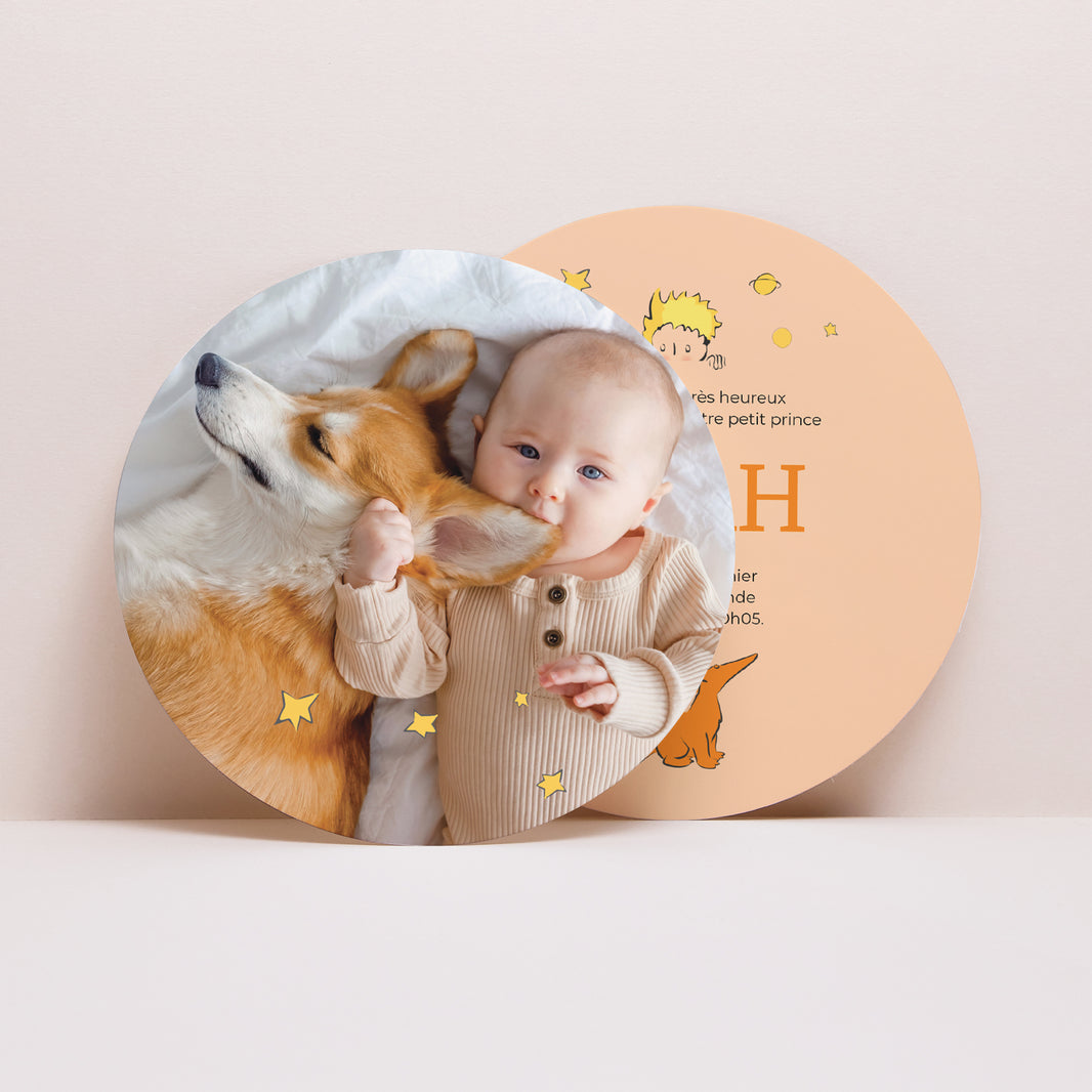 Faire-part Naissance Pochette disque Notre petit renard photo N° 4