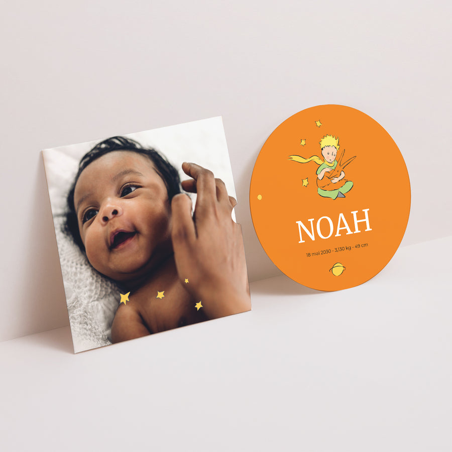 Faire-part Naissance Pochette disque Notre petit renard II photo