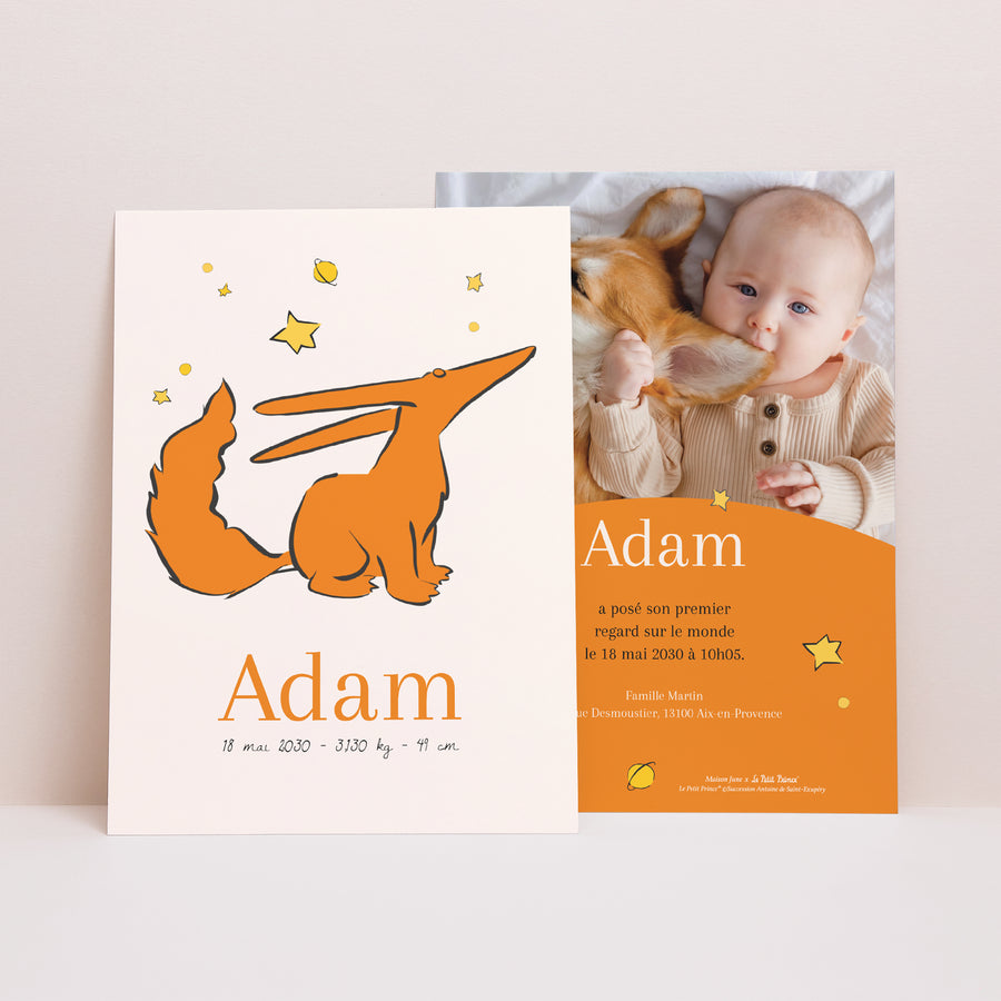 Faire-part Naissance Portrait Le renard photo