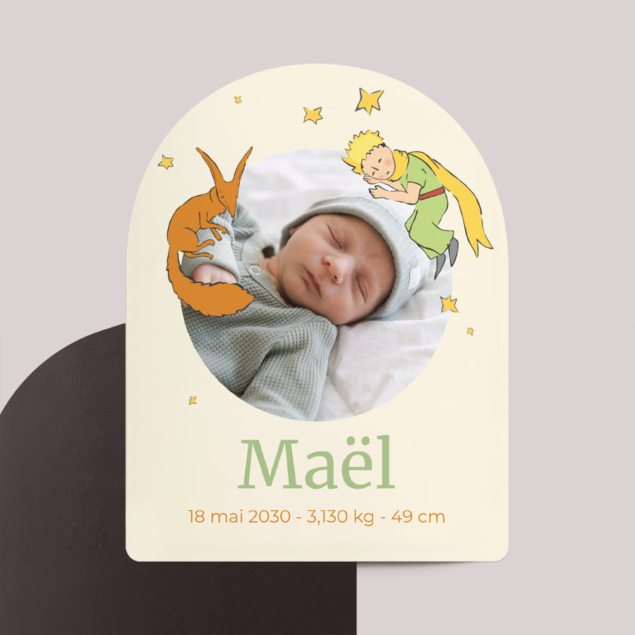 Faire-part Naissance Lot de 8, magnétique, arche Les compagnons photo