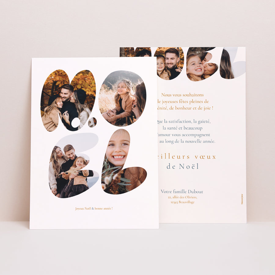 Carte de Noel Fin d'année Portrait Illinois photo