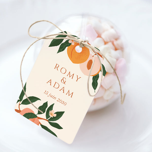 Boîte à dragées Mariage boule avec étiquette fanion Sous les abricotiers photo