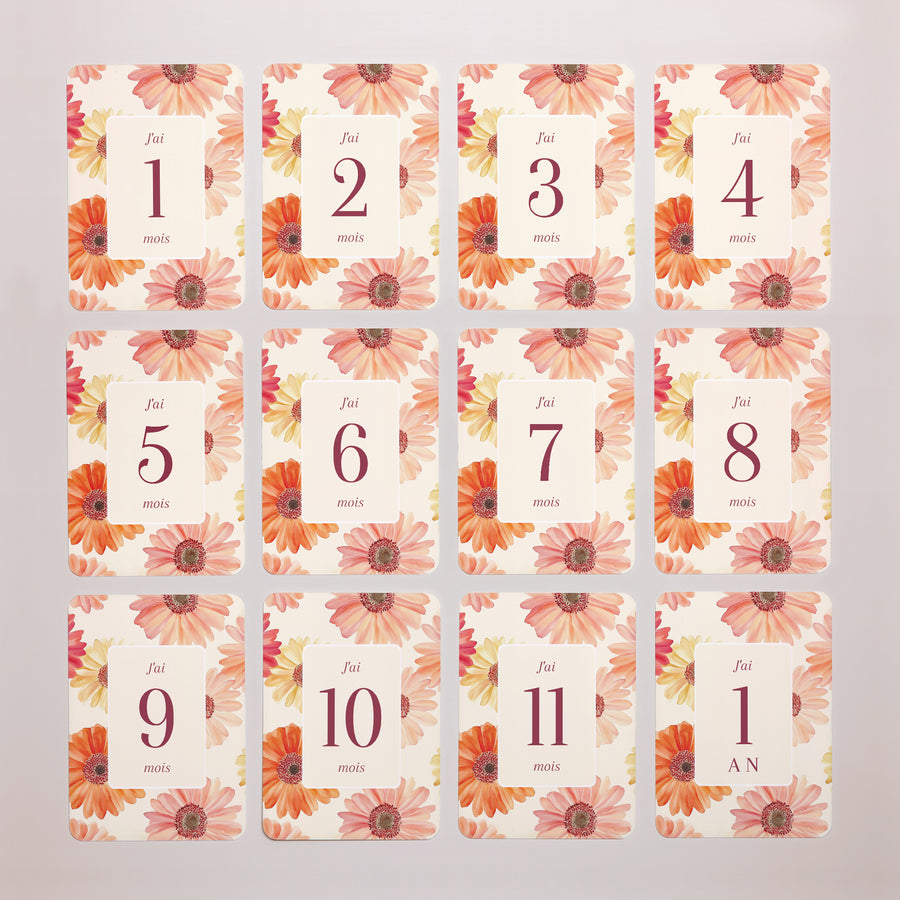 Carte étape bébé Naissance Lot de 12 Un Pétale d'Amour photo