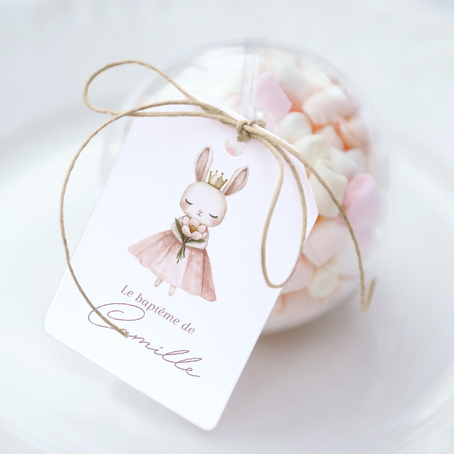 Boîte à dragées Baptême boule avec étiquette fanion Princesse du Jardin Secret photo