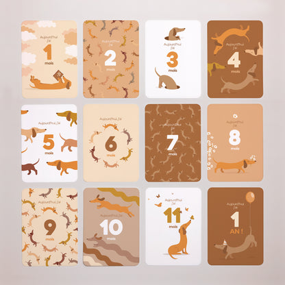 Carte étape bébé Naissance Lot de 12 Hot Dog photo N° 1