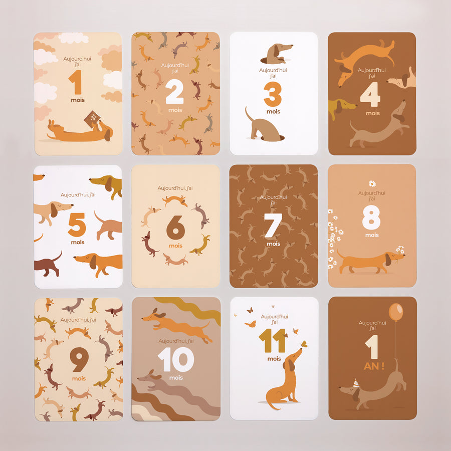 Carte étape bébé Naissance Lot de 12 Hot Dog photo