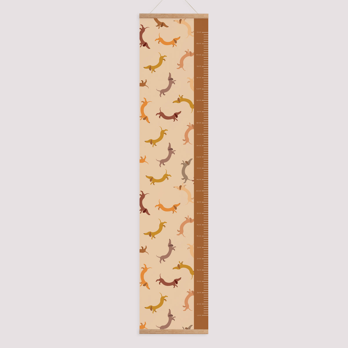 Toise Naissance Papier Hot Dog photo N° 1