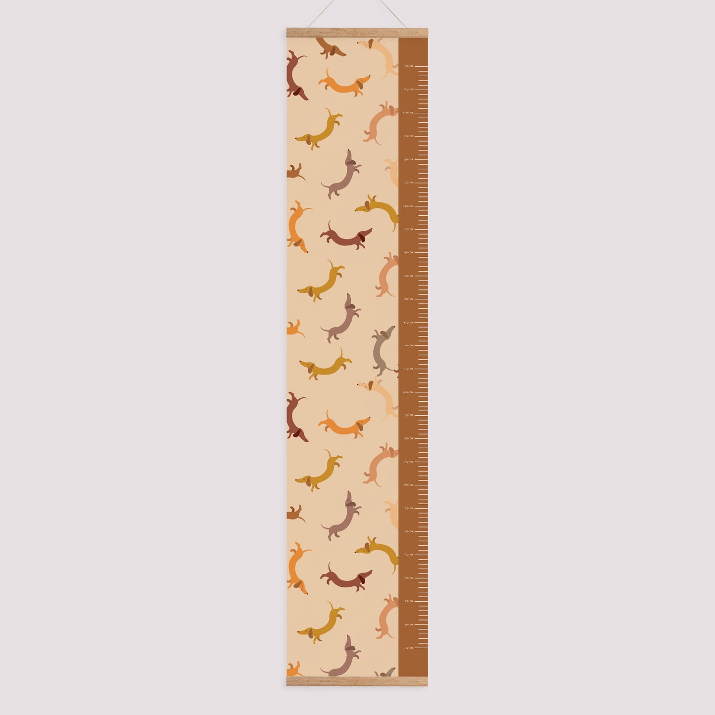 Toise Naissance Papier Hot Dog photo N° 1