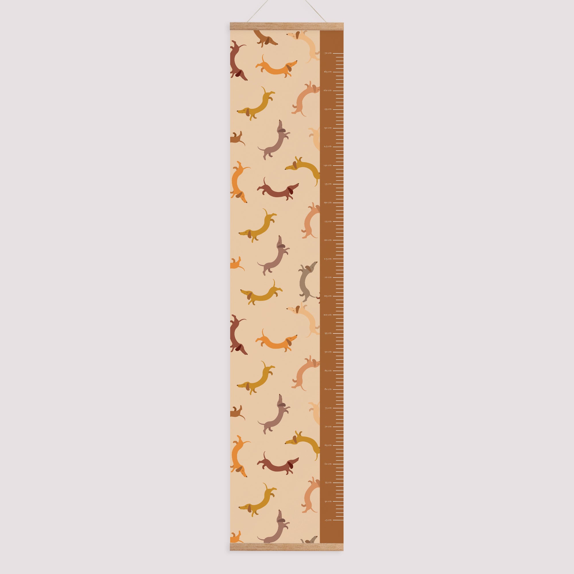 Toise Naissance Papier Hot Dog photo N° 1