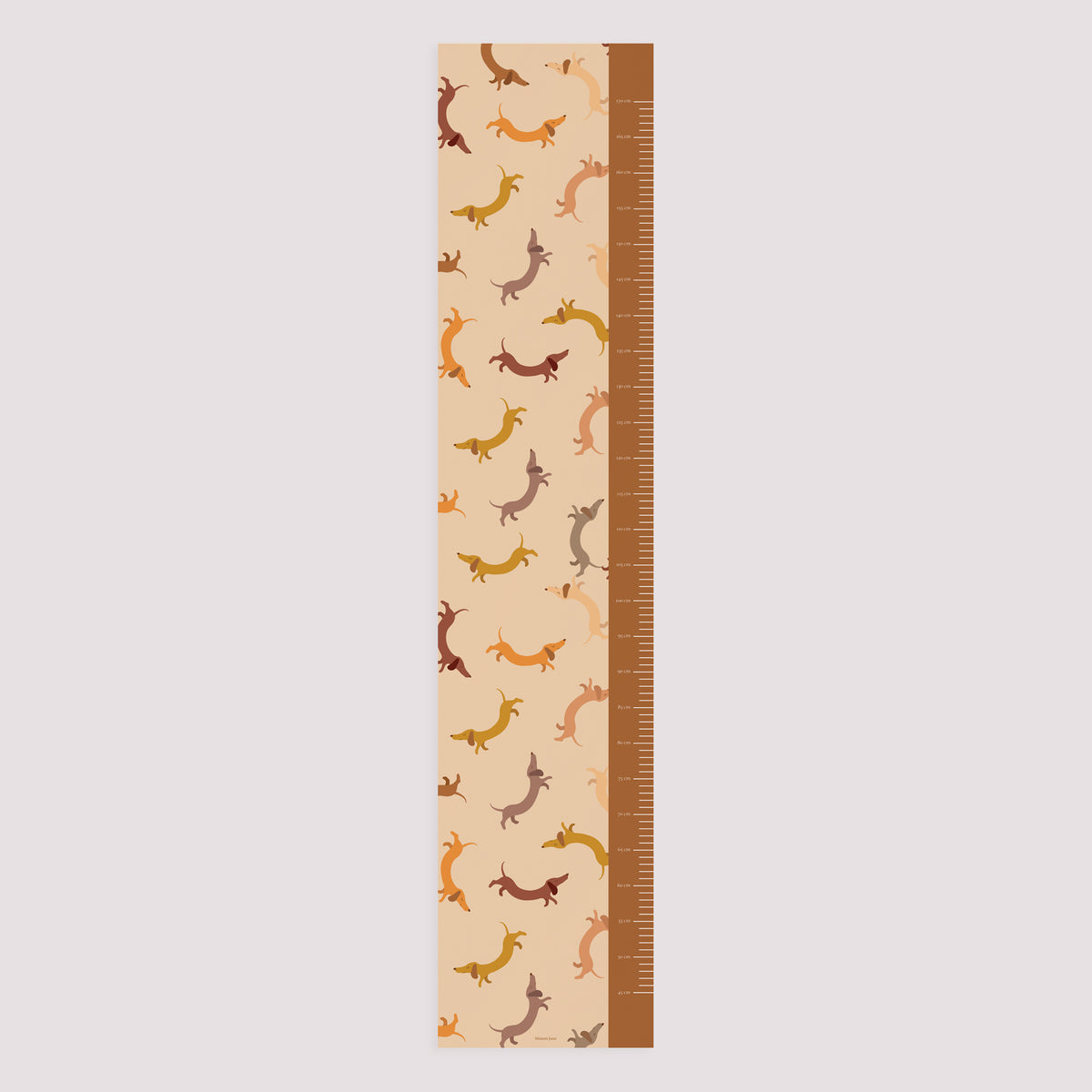 Toise Naissance Papier Hot Dog photo N° 5