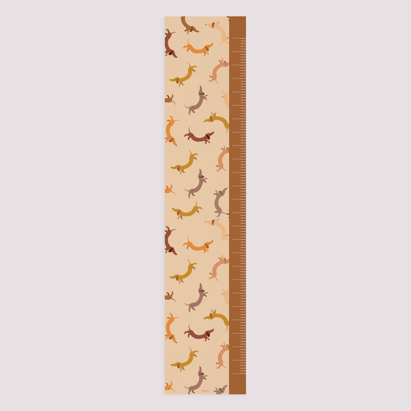 Toise Naissance Papier Hot Dog photo N° 5