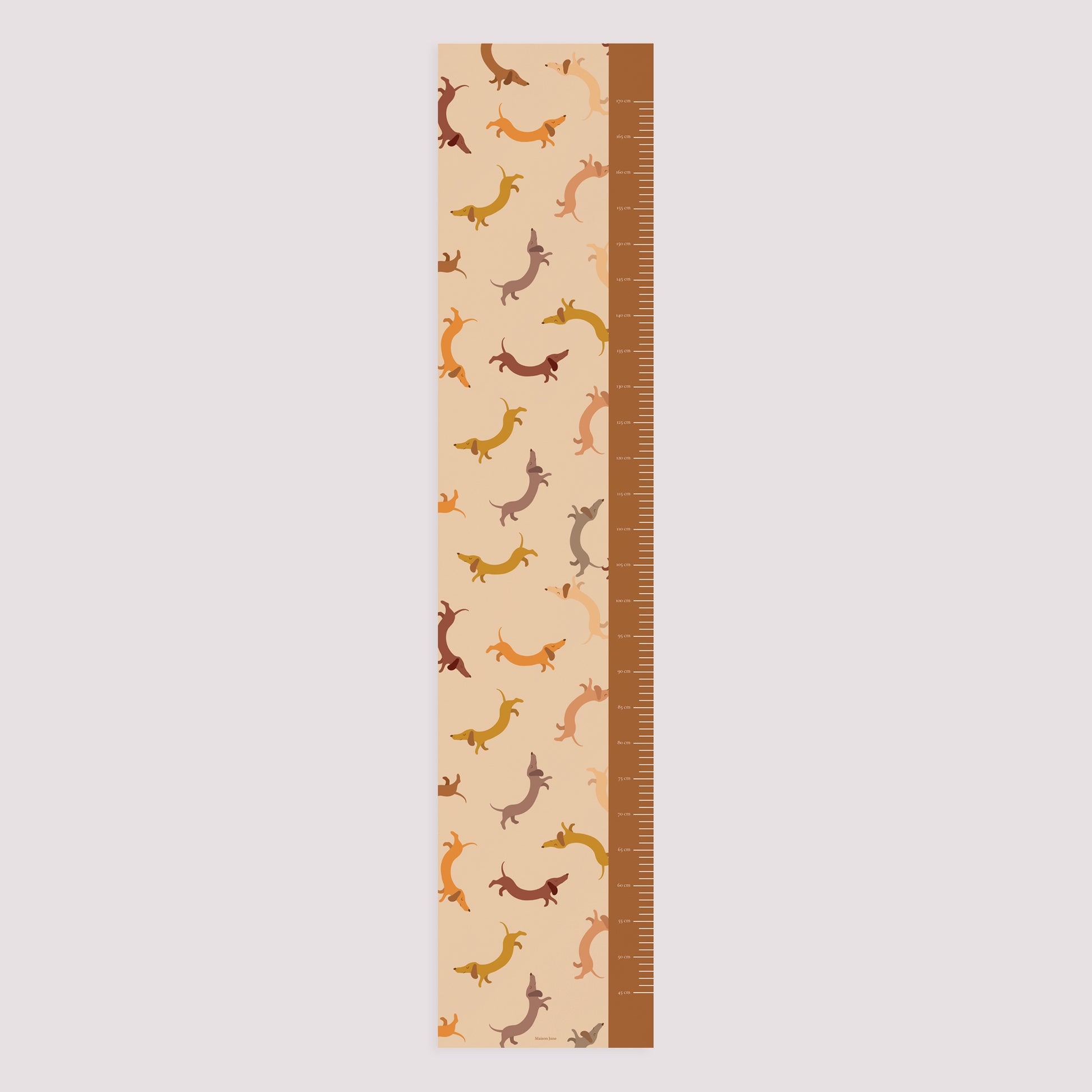 Toise Naissance Papier Hot Dog photo N° 5